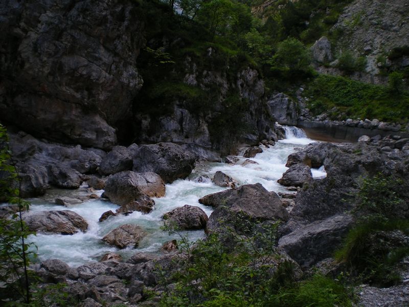 Trote Friulane